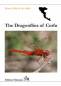 Preview: The Dragonflies of Corfu